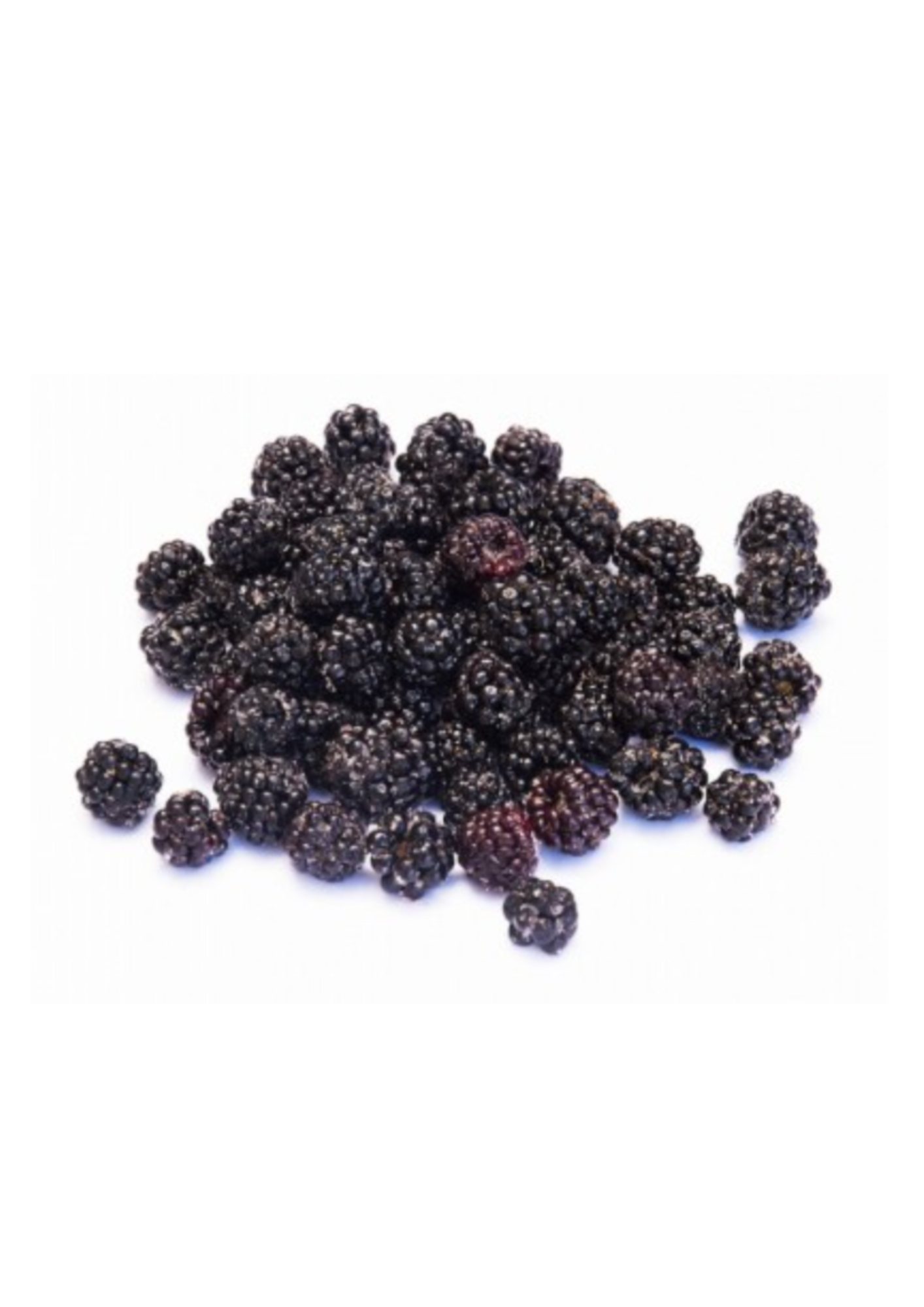 Frozen Local Mulberry 500g – Alive Whole Foods