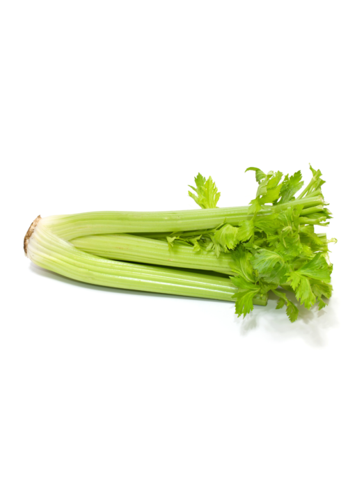 Organic Celery Large per 500gr