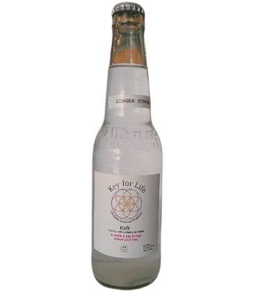 Coconut Kefir, Ginger Strong by Key For Life 330ml