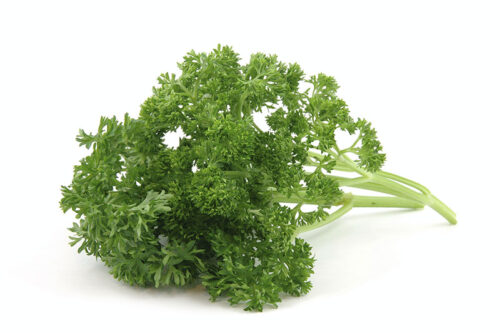 Organic Curly Parsley  50g