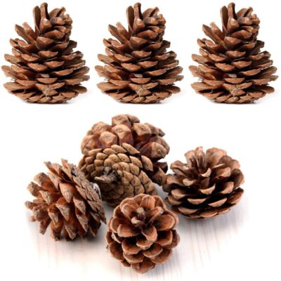 Pinecones by Bale Natural Candle