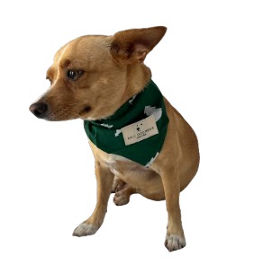 XMAS PET BANDANA by Kali Dogwear - Image 3