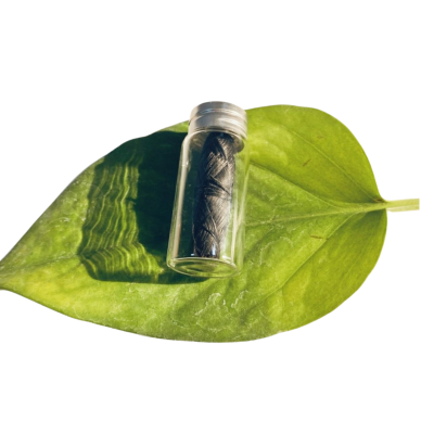 Charcoal Dental Floss by Earthero