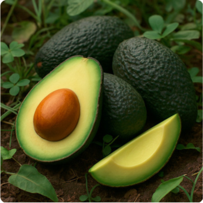 Organic Lamb Hass Avocado, 250gr