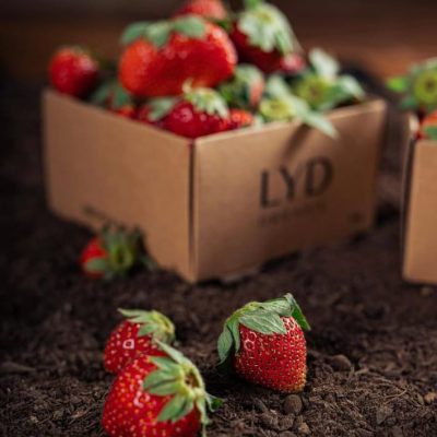 Fresh Organic Strawberry by LYD, 300gr