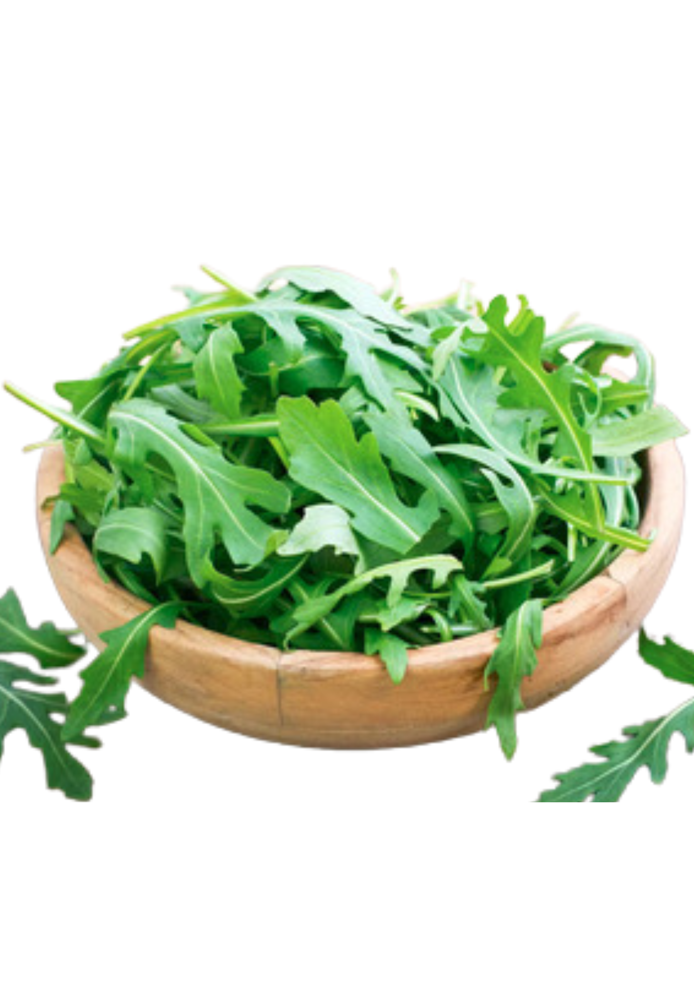 ROCKET (Arugula/Rucola) Organic, BALI 150gr